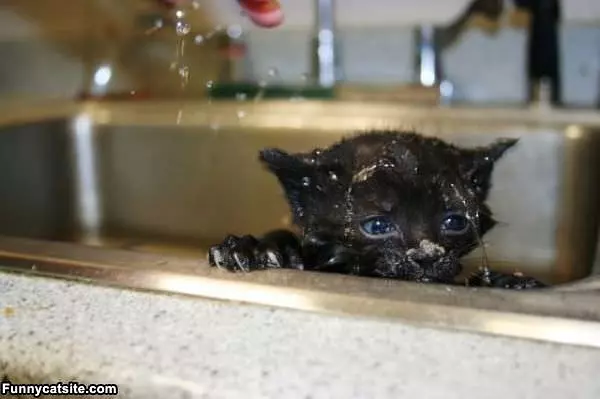 No More Shower Please
