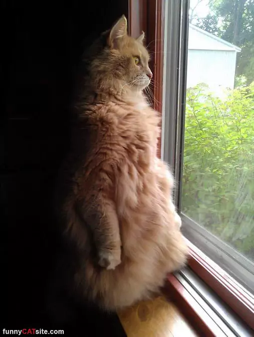 Sitting Up For Fun