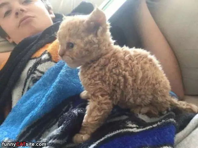 Fluffy