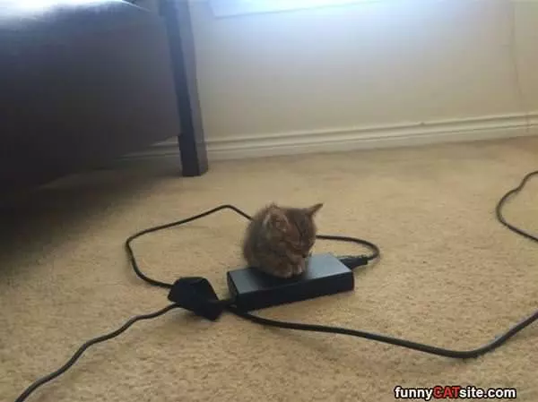 Found A Warm Spot