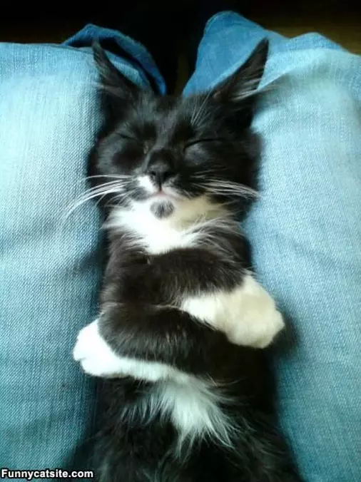 Having Some Hug Dreams