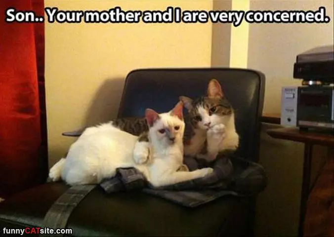 We Are Very Concerned
