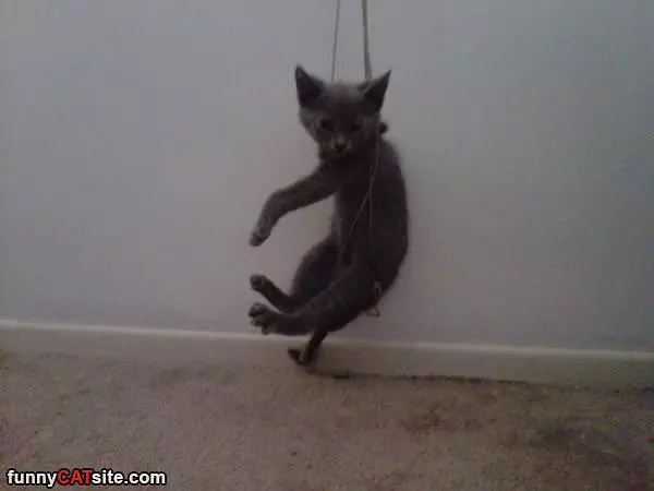 Just Hanging Out
