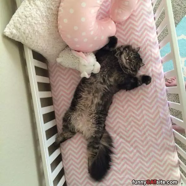 Laying Around