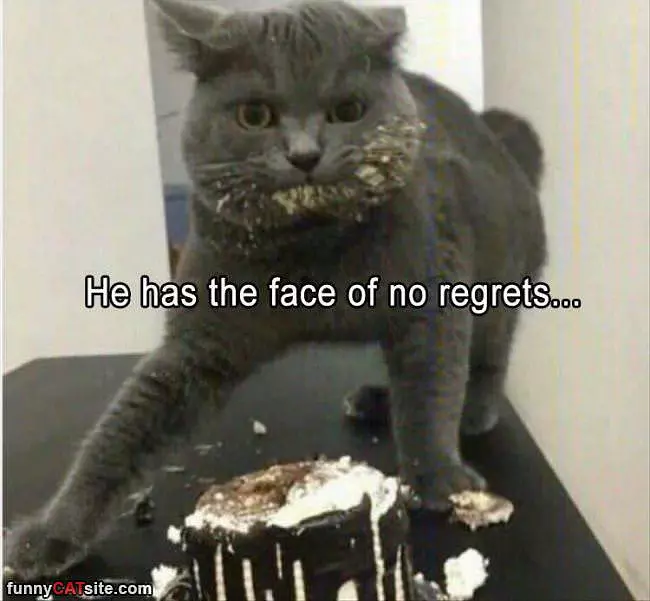 He Has The Face Of No Regrets