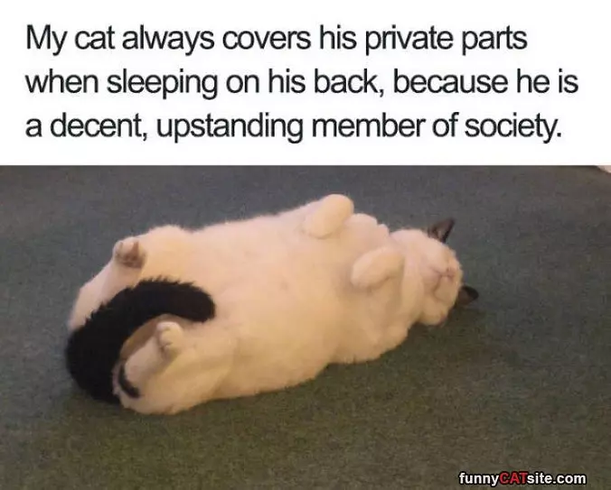 Covering My Privates