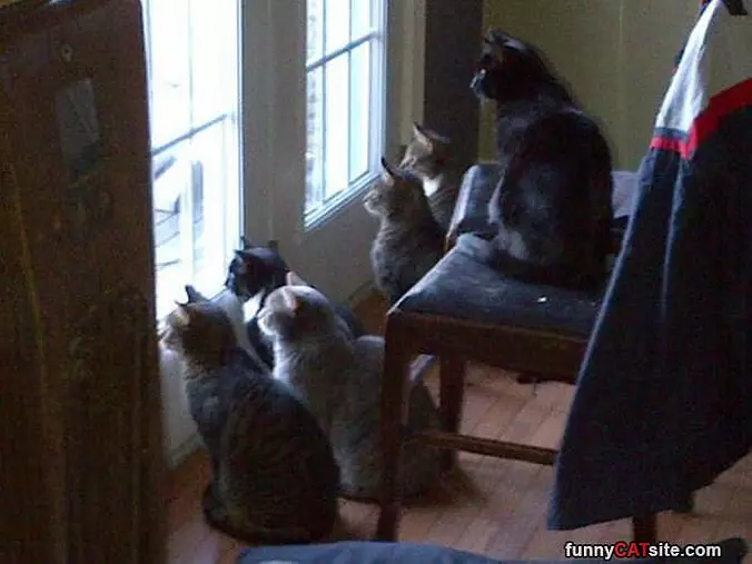 We Are All Watching You