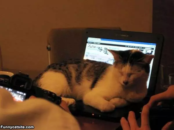 Laptop Is Warm