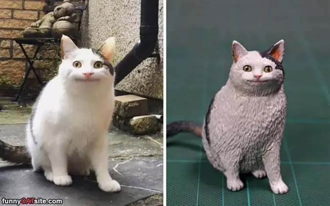 Looks Like Me