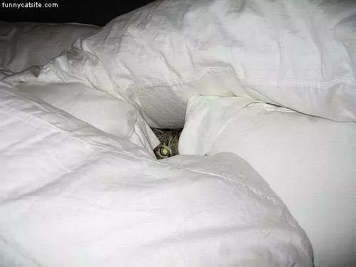 Hidden