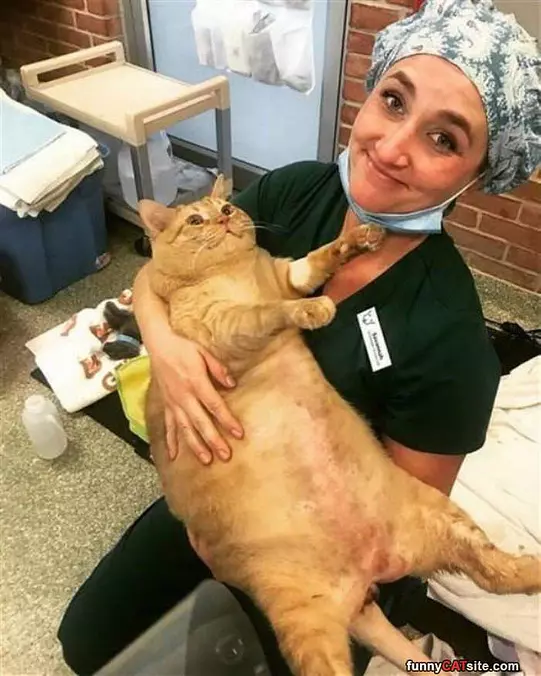 I Love This Nurse