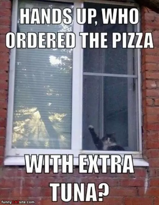 Who Ordered It