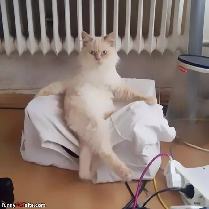 So Relaxed