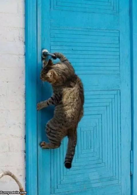 Door Opener