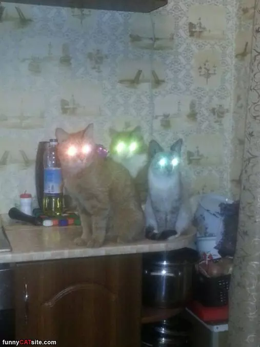 Lasers All Fully Charged