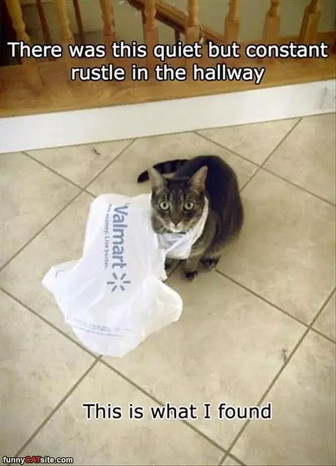 Constant Rustling