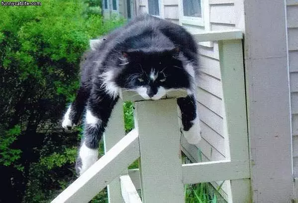 Flat Like A Pancake