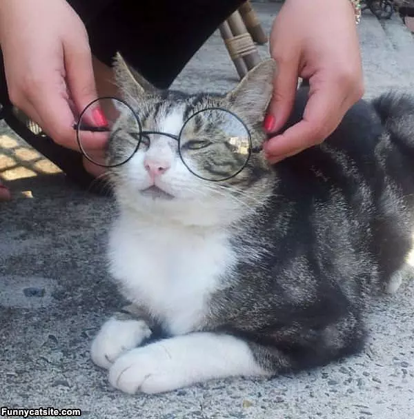 My Glasses