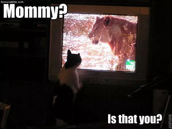 Mommy