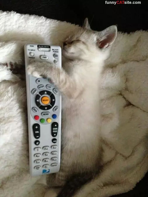 This Show Is Boring