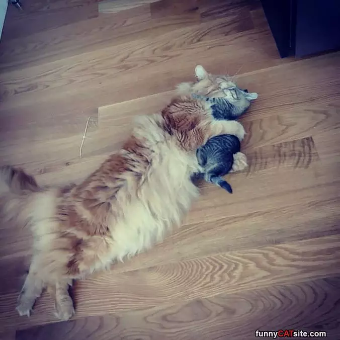 Hugging It Out
