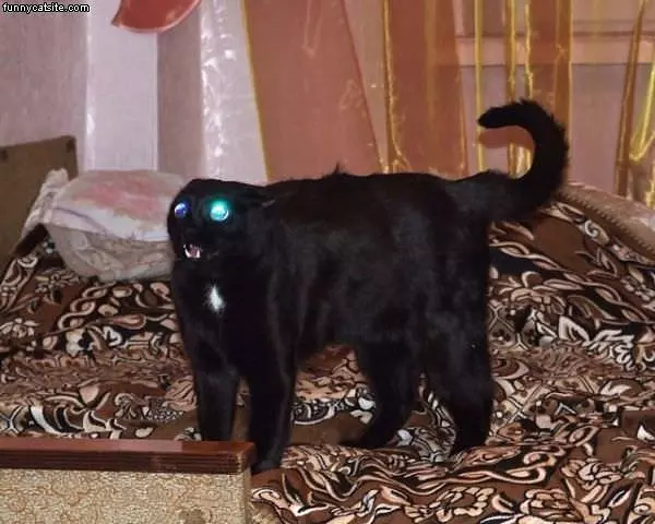 Eyes Fully  Charged