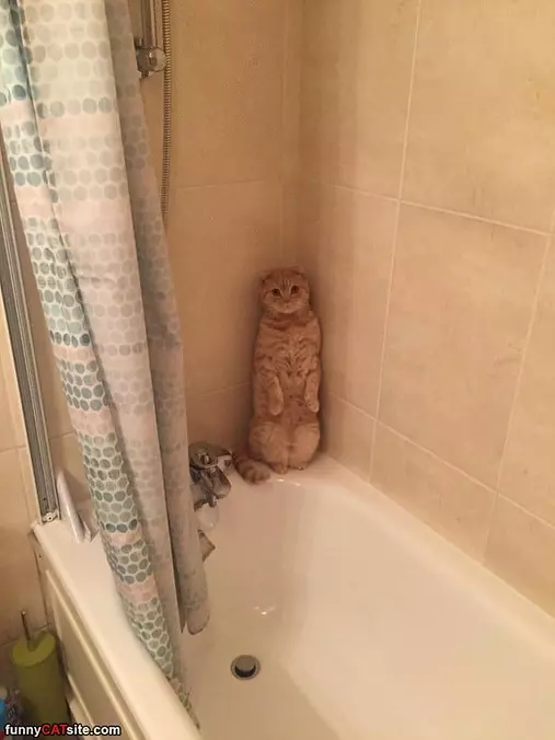 I Do Not Want To Take A Bath