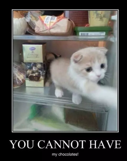 Cannot Have