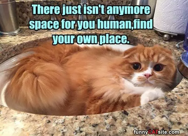 No Space For You