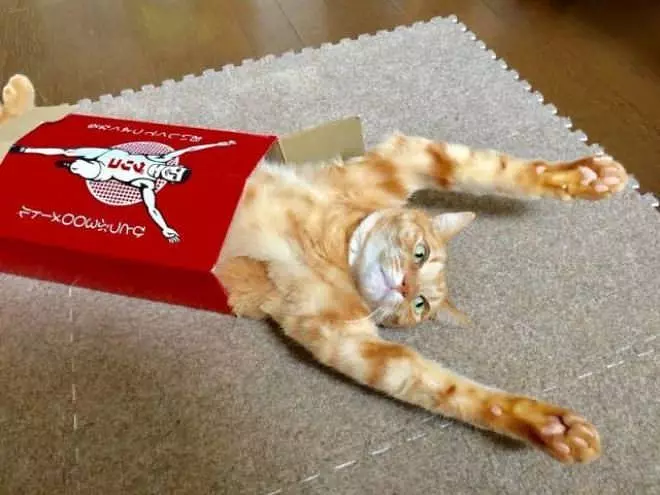 I Am Just Stretching