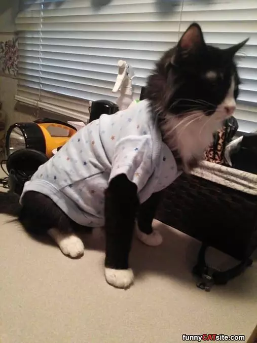 Nice Shirt