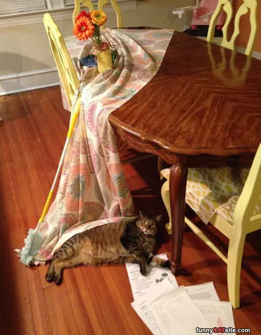 Getting A Blanket