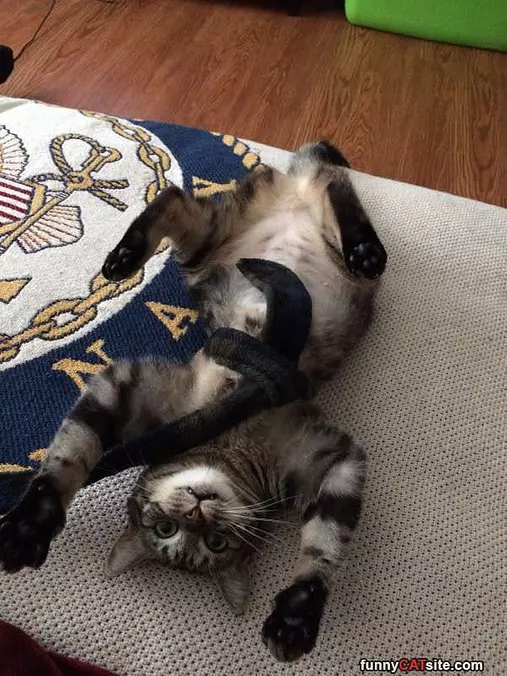I Loves Play Time