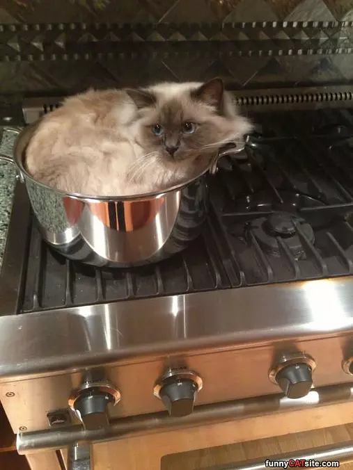 Low Heat Please