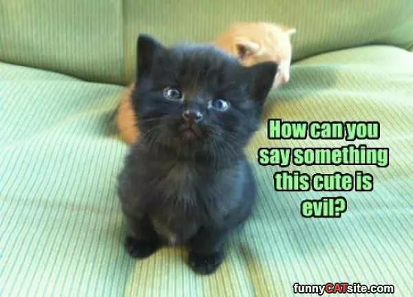 How Can You