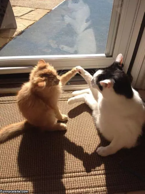 High Five