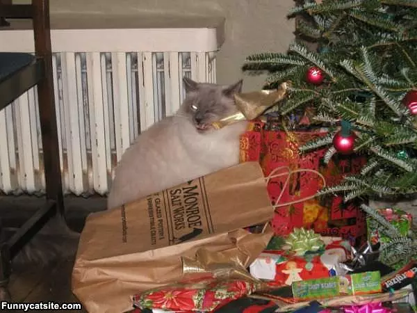 Nom Nom Xmas Tree
