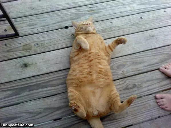 Just So Relaxed