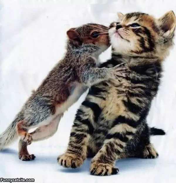 Kissy Kisses