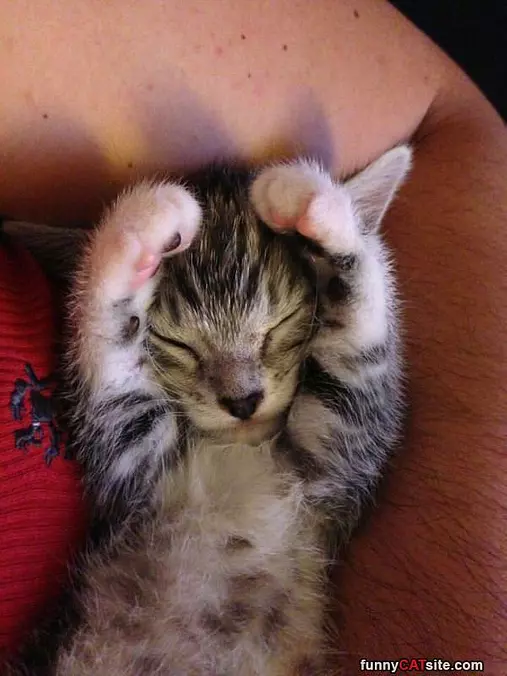 Ahhhh So Comfortable