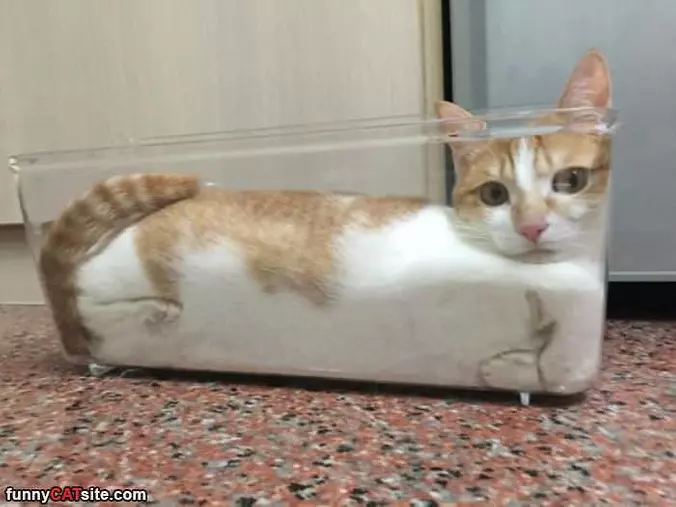 Swedged In Here