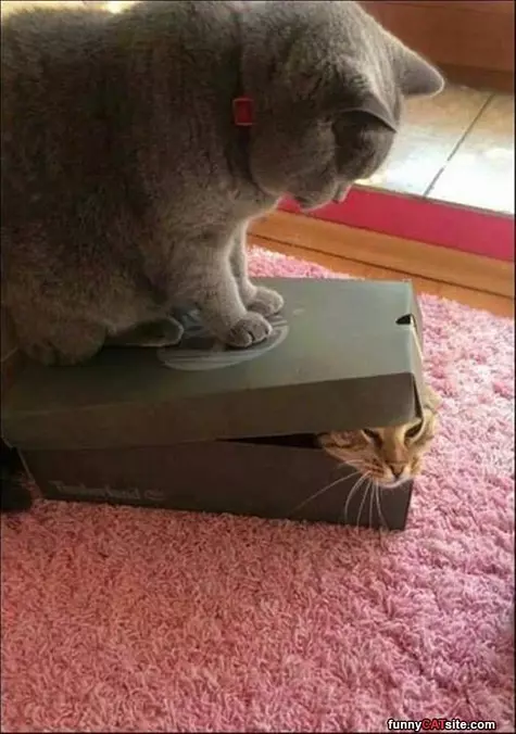 No You Stay