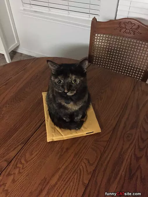 Best Place To Sit