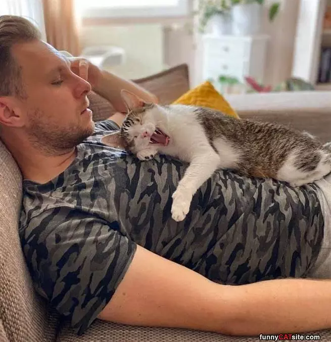 Let Us Take A Nap