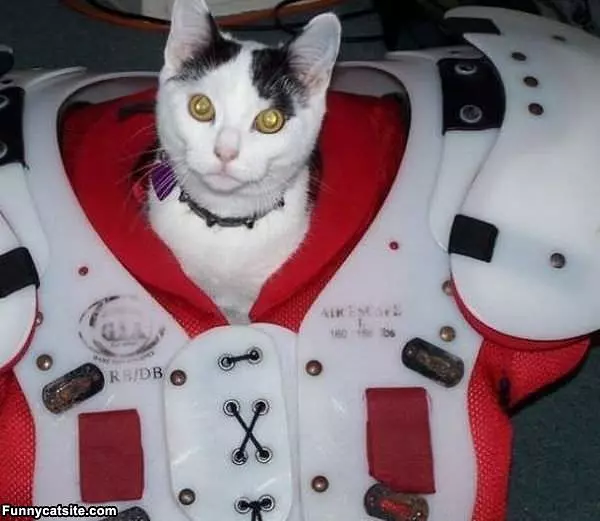 Shoulder Pads