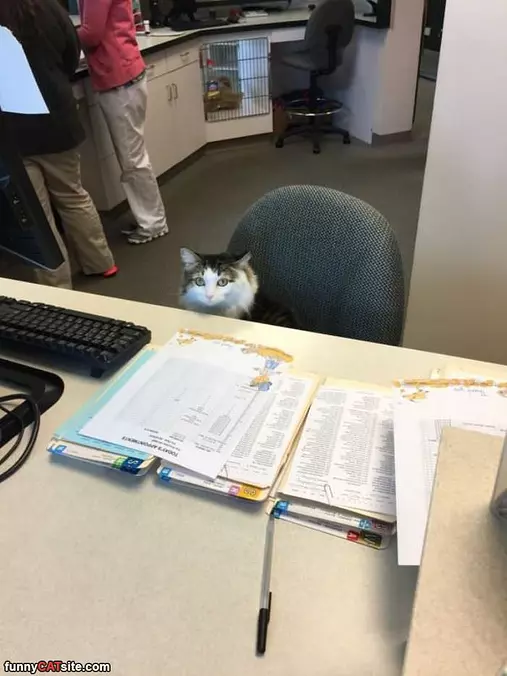 Sitting At The Desk