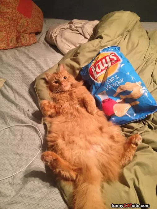 Me And The Lays