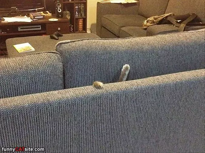 Halllllllpo
