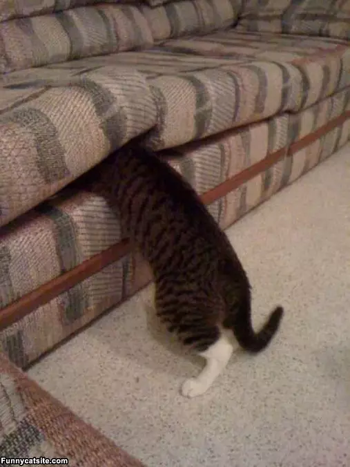 Its In Here Somewhere