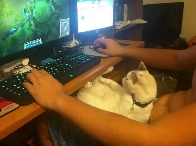 Playing Some Games